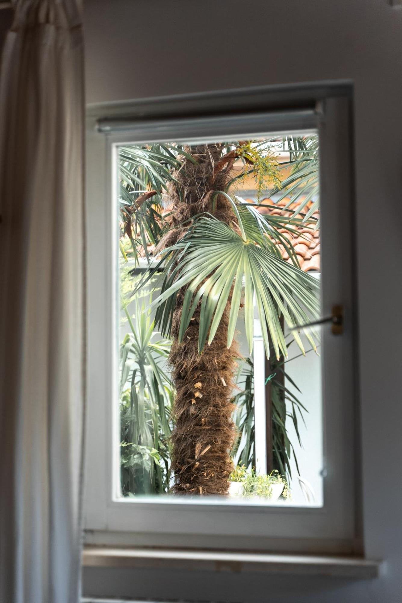 New Cosy Apartments With Private Parking Opatija Exterior photo